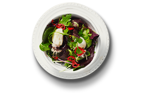 19. Blækspruttesalat med løvstikke, tomat, mynte & spicy dressing.